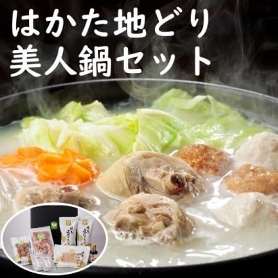 はかた地どり 美人鍋セット 水炊き 鍋 セット 鶏肉[No5354-2287]
