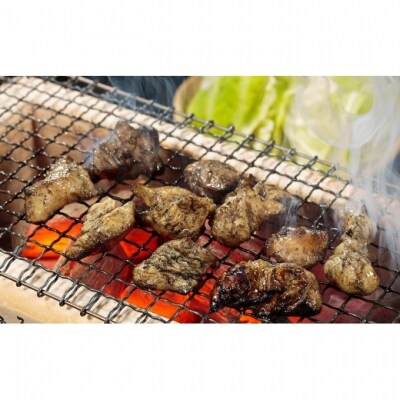 はかた地どり炭火焼セット お肉 鶏肉 加工品 惣菜 冷凍[No5354-2288]