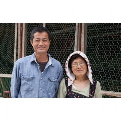 はかた地どり炭火焼セット お肉 鶏肉 加工品 惣菜 冷凍[No5354-2288]