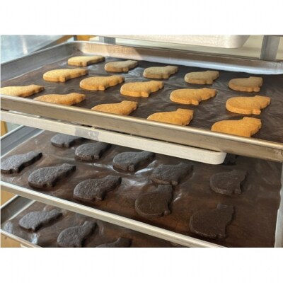 猫の保護活動を応援!焼き菓子&珈琲セット[No5354-2303]