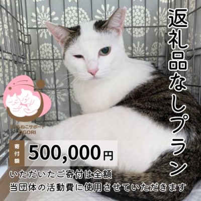 保護猫活動を応援! 返礼品無し 500,000円(お礼状送付) 保護猫[No5354-2325]