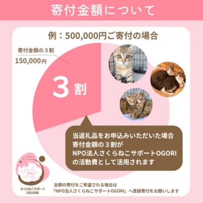 保護猫活動を応援! 返礼品無し 500,000円(お礼状送付) 保護猫[No5354-2325]