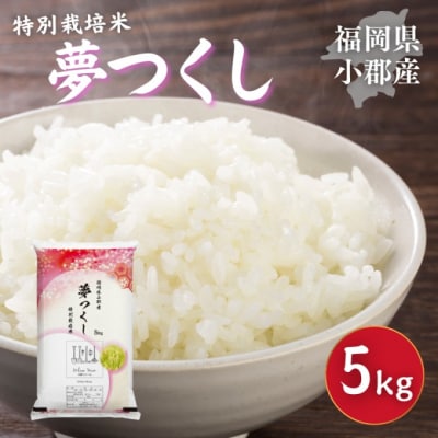 特別栽培米 福岡県 小郡産 夢つくし 5kg 米 お米[No5354-2295]