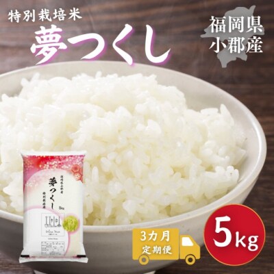 定期便 3回 特別栽培米 福岡県 小郡産 夢つくし 5kg 米[No5354-2296]