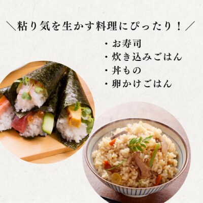 定期便 3回 特別栽培米 福岡県 小郡産 夢つくし 5kg 米[No5354-2296]