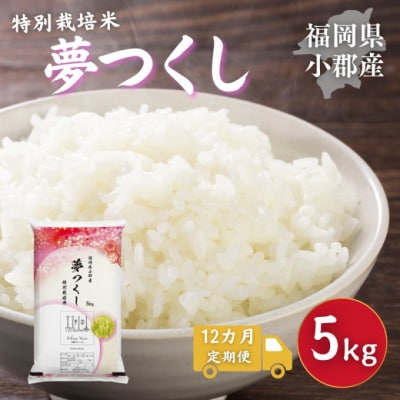 定期便 12回 特別栽培米 福岡県 小郡産 夢つくし 5kg 米[No5354-2298]