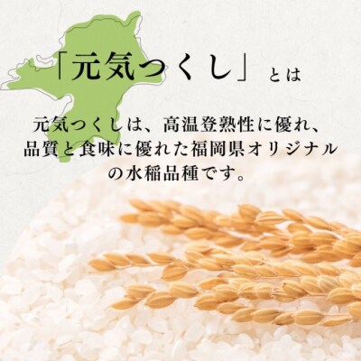 定期便 3回 特別栽培米 福岡県 小郡産 元気つくし 5kg 米[No5354-2300]