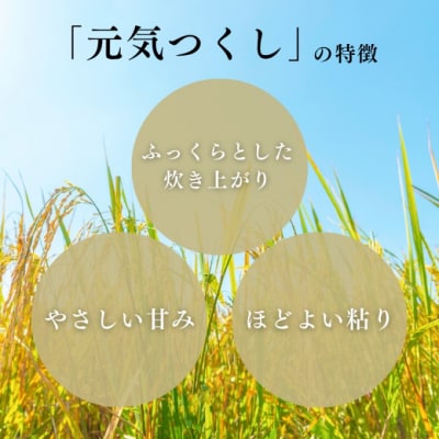 定期便 12回 特別栽培米 福岡県 小郡産 元気つくし 5kg 米[No5354-2302]