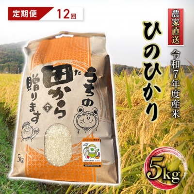 定期便12ヶ月 米 5kg 令和7年度産 ひのひかり 筑後小郡産 農家直送[No5354-2314]