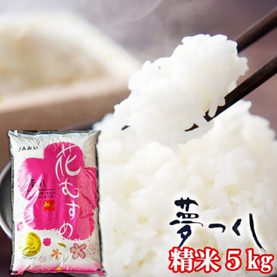 福岡県産 米 夢つくし 精米5kg コメ お米 白米[No5354-2341]