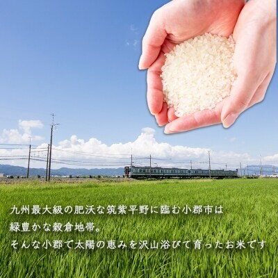 福岡県産 米 夢つくし 精米5kg コメ お米 白米[No5354-2341]