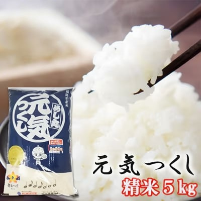 福岡県産 米 元気つくし 精米 5kg コメ お米 白米[No5354-2342]