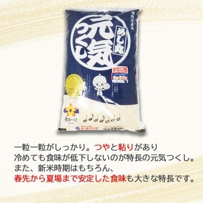 福岡県産 米 元気つくし 精米 5kg コメ お米 白米[No5354-2342]