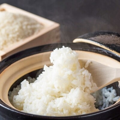 福岡県産 米 元気つくし 精米 5kg コメ お米 白米[No5354-2342]