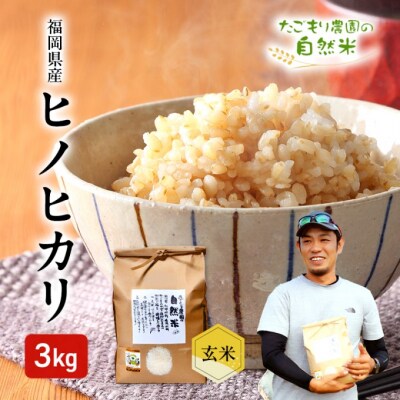 米 令和6年産 たごもり農園の自然米 ヒノヒカリ 玄米 3kg お米[No5354-2127]