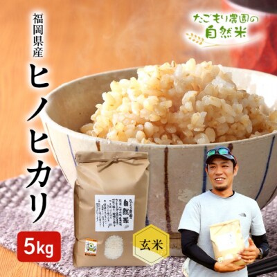 米 令和6年産 たごもり農園の自然米 ヒノヒカリ 玄米 5kg お米[No5354-2128]