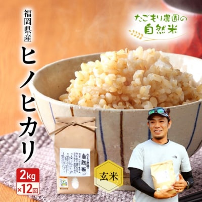 定期便 12ヶ月 米 たごもり農園の自然米 ヒノヒカリ 玄米 2kg お米[No5354-2131]