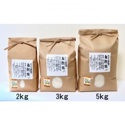 定期便 12ヶ月 米 たごもり農園の自然米 ヒノヒカリ 玄米 2kg お米[No5354-2131]