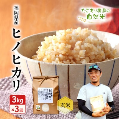 定期便 3ヶ月 米 たごもり農園の自然米 ヒノヒカリ 玄米 3kg お米[No5354-2132]