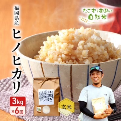 定期便 6ヶ月 米 たごもり農園の自然米 ヒノヒカリ 玄米 3kg お米[No5354-2133]