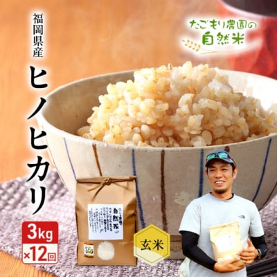 定期便 12ヶ月 米 たごもり農園の自然米 ヒノヒカリ 玄米 3kg お米[No5354-2134]