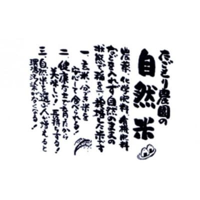 定期便 12ヶ月 米 たごもり農園の自然米 ヒノヒカリ 3kg[No5354-2343]