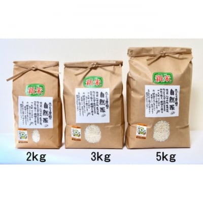 定期便 12ヶ月 米 たごもり農園の自然米 ヒノヒカリ 3kg[No5354-2343]