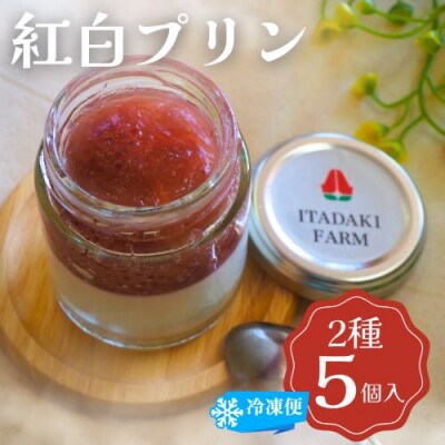 紅白プリン 5個入り ※配送不可:離島[No5354-2309]