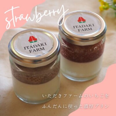 紅白プリン 5個入り ※配送不可:離島[No5354-2309]