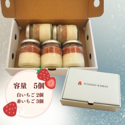 紅白プリン 5個入り ※配送不可:離島[No5354-2309]