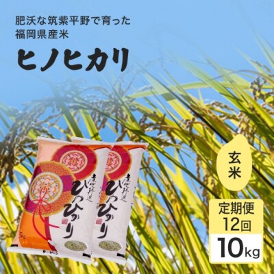 定期便12回 1等級米 ヒノヒカリ 玄米10kg[No5354-2374]