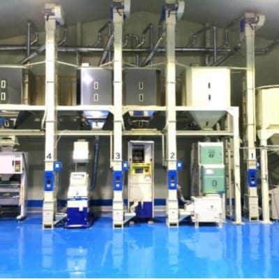 定期便12回 1等級米 福岡県産米 元気つくし 白米 5kg[No5354-2381]