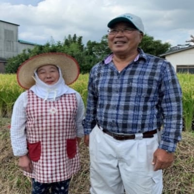 定期便12回 1等級米 福岡県産米 元気つくし 白米 5kg[No5354-2381]