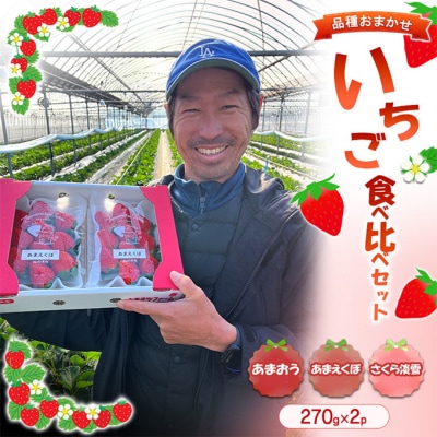 いちご食べ比べセット 1箱 (270g×2p) ※品種はおまかせ [No5354-2365]