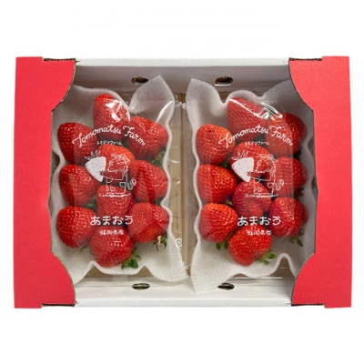 いちご食べ比べセット 1箱 (270g×2p) ※品種はおまかせ [No5354-2365]