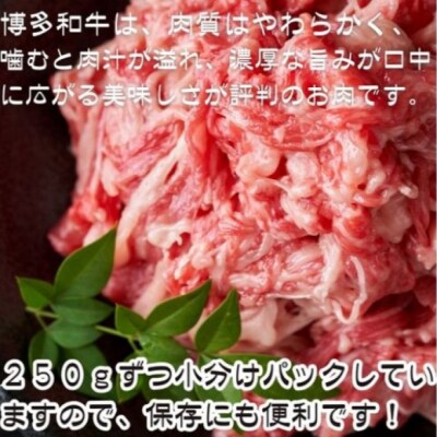 定12回 博多和牛 A4ランク以上 切り落とし 250g ※配送不可:離島[No5354-2393]