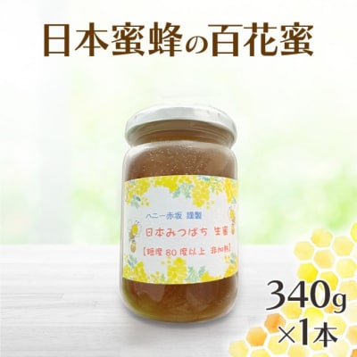 はちみつ 日本蜜蜂の百花蜜 フルーティーな味 340g×1本[No5354-2394]