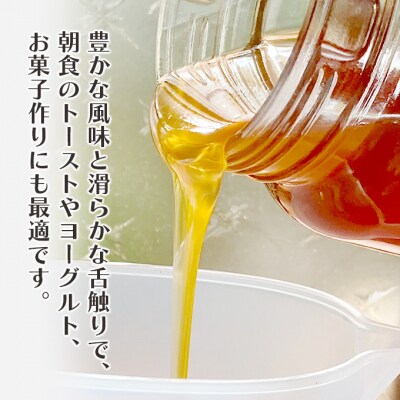 はちみつ 日本蜜蜂の百花蜜 フルーティーな味 340g×1本[No5354-2394]