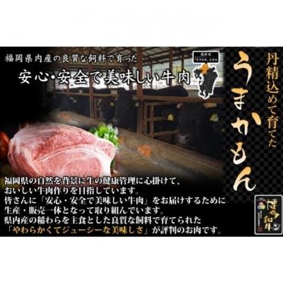 博多和牛 モモ 焼肉用 400g 牛肉 肉 ※配送離島不可[No5354-2413]