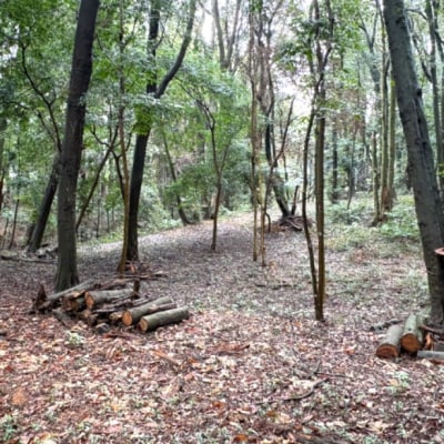 チケット 山林レンタルチケット 小郡市津古地区 1区画 1年間[No5354-2415]