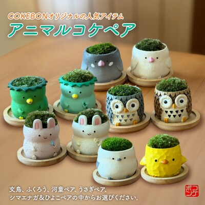 アニマルコケペア アニマル 鉢 置物 インテリア 雑貨 【河童ペア】[No5354-7143]