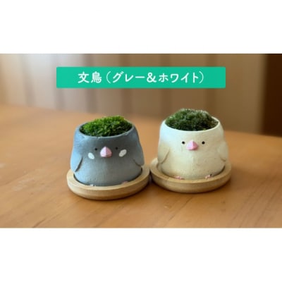 アニマルコケペア アニマル 鉢 置物 【シマエナガ&ひよこペア】[No5354-7145]