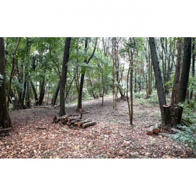 チケット 山林レンタルチケット 小郡市津古地区 1区画 3ヶ月[No5354-2430]