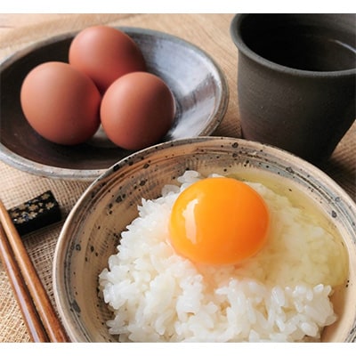 七山たまご40個×1箱(大玉)