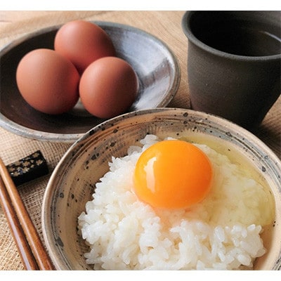 放し飼い!七山たまご 60個箱 (M～Lサイズ相当)