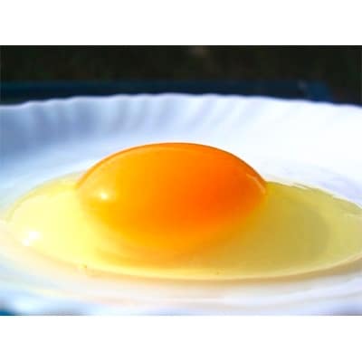 放し飼い!七山たまご 60個箱 (M～Lサイズ相当)
