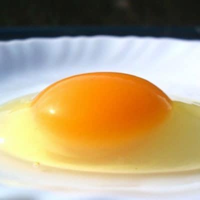 放し飼い!七山たまご 60個箱 (大玉)