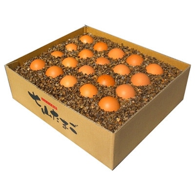 放し飼い!七山たまご 20個箱×3(合計60個) 大玉