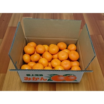 【12月発送】吉田みかん園の樹上完熟みかん5kg