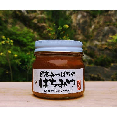 日本ミツバチの純粋はちみつ 240g